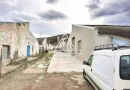 770 mp HALA TIP AVICOLA si 1390 mp TEREN INTRAVILAN, BECLEAN-BISTRITA
