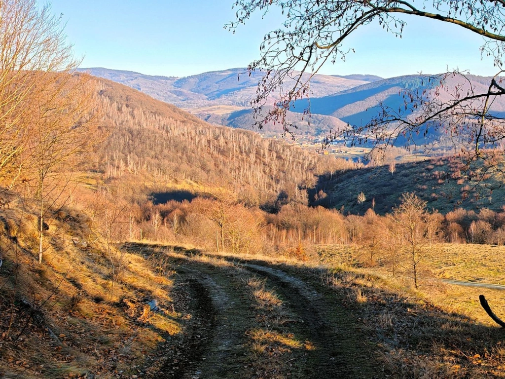 2,2 Ha TEREN INTRAVILAN PANORAMIC, in Muntii Apuseni NEGRENI – CLUJ