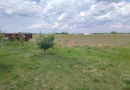 Teren intravilan Ciocanesti Cretu - 9282 mp divizat in 15 loturi