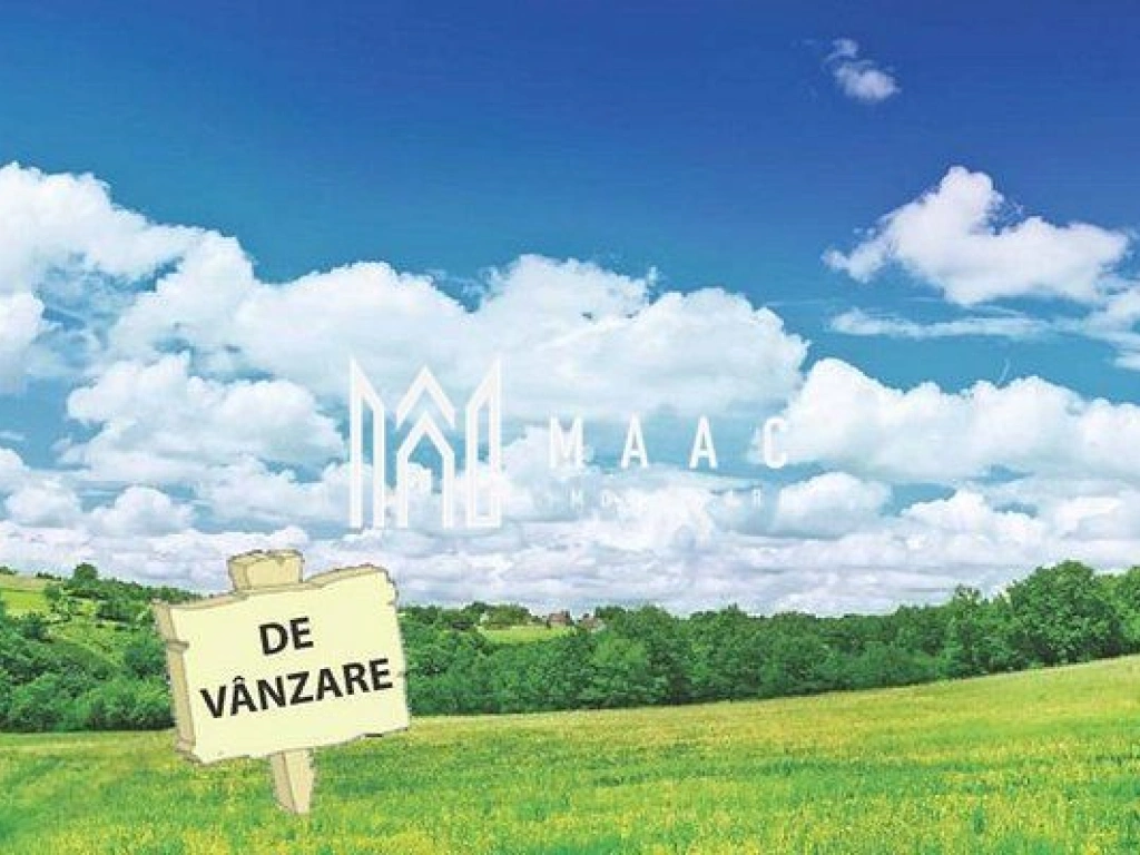 Teren Extravilan 20.000Mp I Stoenești -Vâlcea I Apă Curentă și Pădure