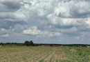 Teren intravilan Ciocanesti Cretu - 9282 mp divizat in 15 loturi