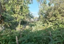 CASĂ 5 CAMERE\ OȚELU-ROȘU\ZONA CIREȘA \ COMISION 0%