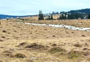TEREN CU VEDERE LA LAC, 5959 MP Statiunea Turistica Montana BELIS-CLUJ