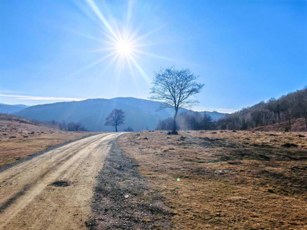 2,2 Ha TEREN INTRAVILAN PANORAMIC, in Muntii Apuseni NEGRENI – CLUJ