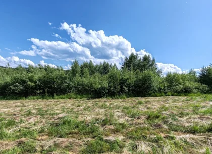 1,3 HA TEREN EXTRAVILAN FANEATA, in Muntii Apuseni, Negreni, jud. Cluj