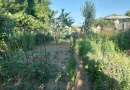 CASĂ 5 CAMERE\ OȚELU-ROȘU\ZONA CIREȘA \ COMISION 0%