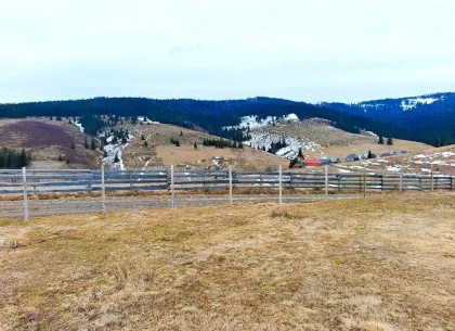 EREN EXTRAVILAN 730 MP si CONSTRUCTIE , statiunea montana Belis - CLUJ