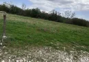 TEREN INTRAVILAN DE VÂNZARE,-520 mp,-CARANSEBEȘ\PIPIRIG COMISION 0%