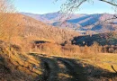 2,2 Ha TEREN INTRAVILAN PANORAMIC, in Muntii Apuseni NEGRENI – CLUJ