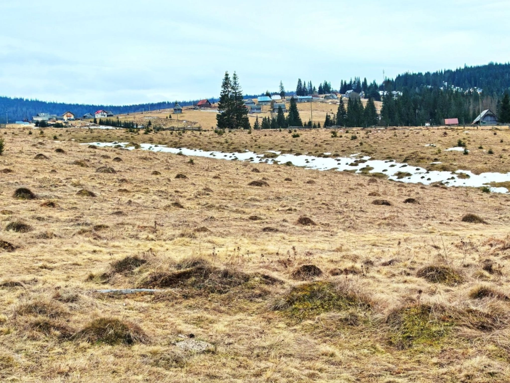 TEREN CU VEDERE LA LAC, 5959 MP Statiunea Turistica Montana BELIS-CLUJ