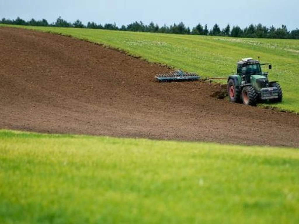Teren agricol comasat- 260ha- jud Satu Mare- 10500 euro/ha- comision 0