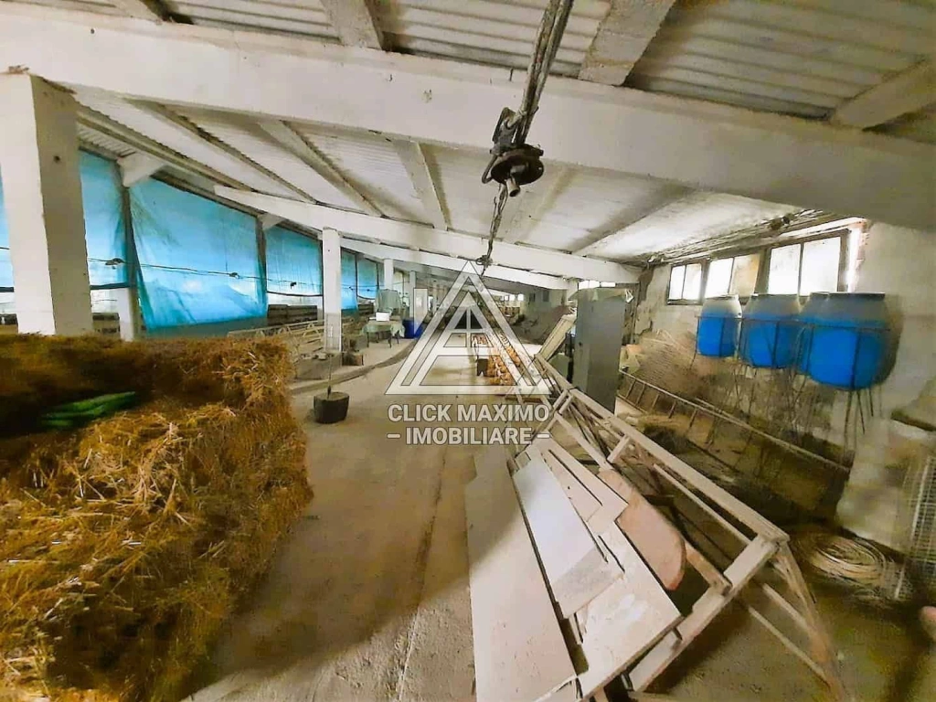 770 mp HALA TIP AVICOLA si 1390 mp TEREN INTRAVILAN, BECLEAN-BISTRITA