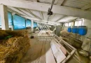 770 mp HALA TIP AVICOLA si 1390 mp TEREN INTRAVILAN, BECLEAN-BISTRITA