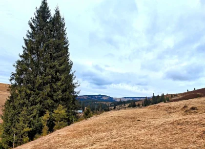 Teren 9511 mp + anexe, intravilan, în Beliș – Munții Apuseni, Cluj