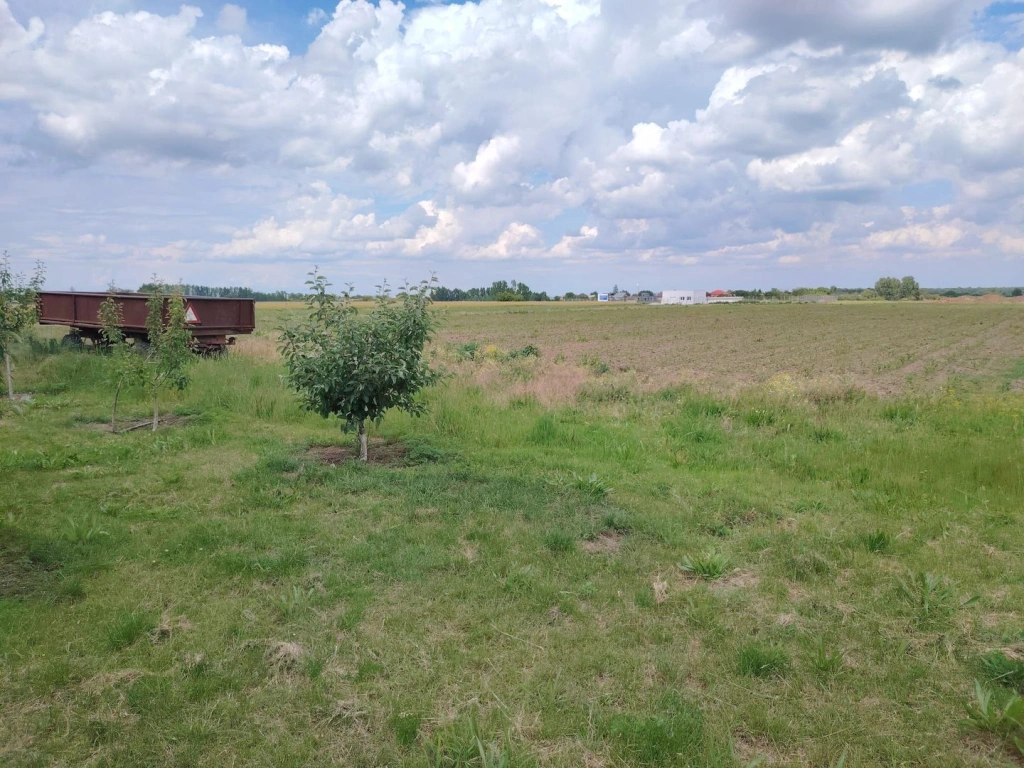Teren intravilan Ciocanesti Cretu - 9282 mp divizat in 15 loturi