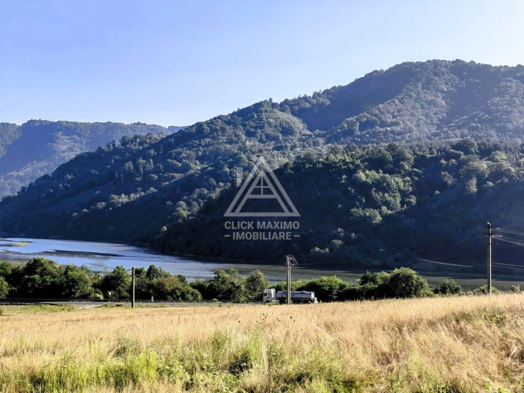 250 Hectare Pădure Valea Oltului Resurse Naturale Potențial Turistic