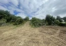 Iasi - Tomesti 3600mp intravilan intre case zona linistita + utilități