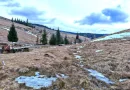 8.263 mp Teren cu Pârâu și Izvoare în Beliș-Fântânele, Cluj