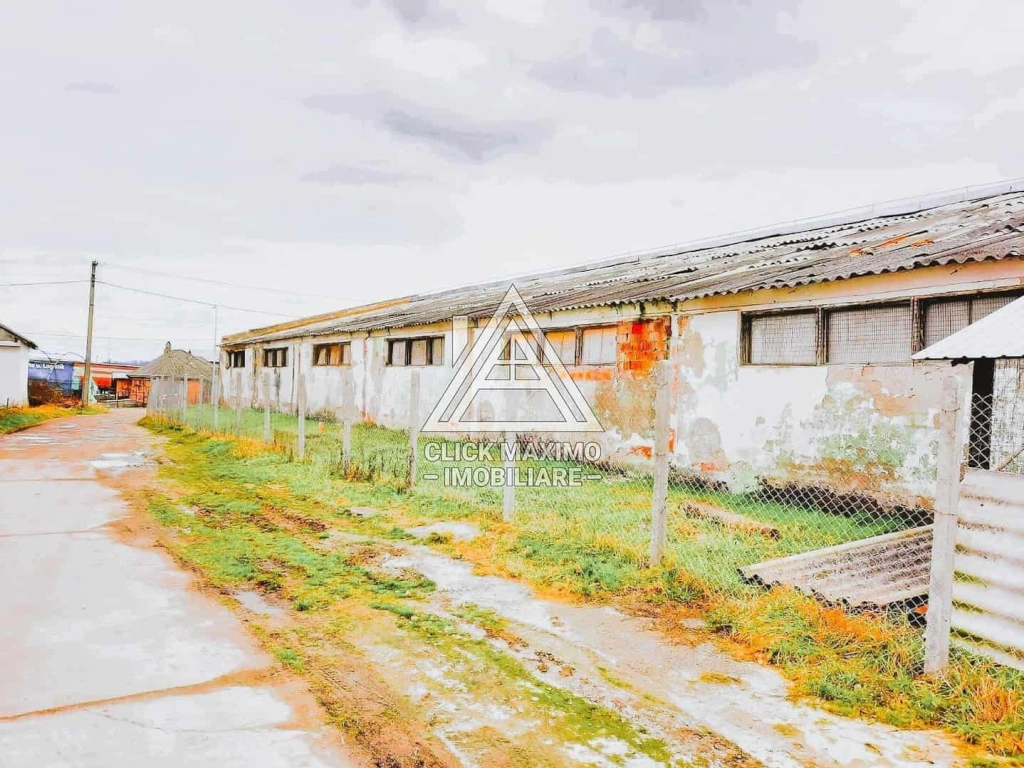 770 mp HALA TIP AVICOLA si 1390 mp TEREN INTRAVILAN, BECLEAN-BISTRITA