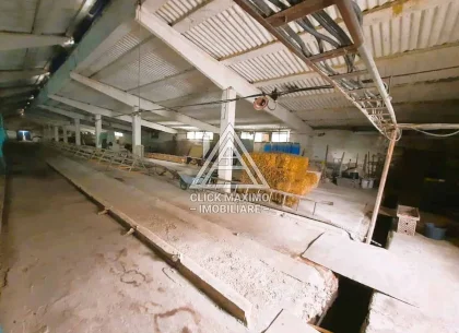 770 mp HALA TIP AVICOLA si 1390 mp TEREN INTRAVILAN, BECLEAN-BISTRITA