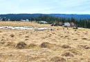 TEREN CU VEDERE LA LAC, 5959 MP Statiunea Turistica Montana BELIS-CLUJ