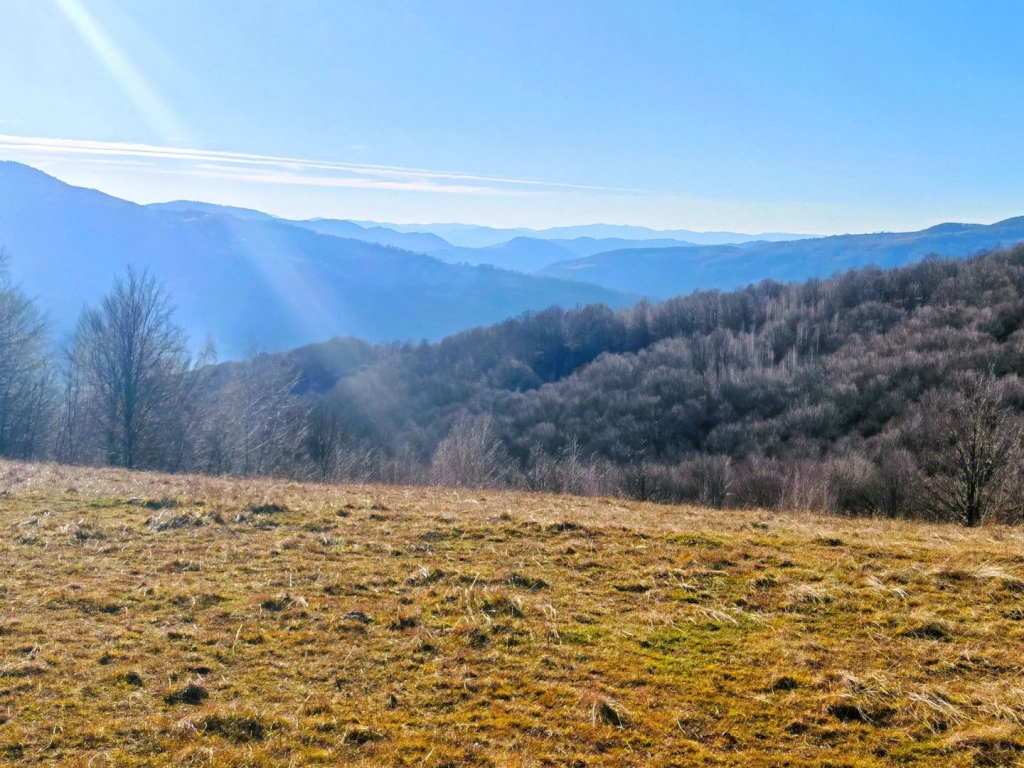2,2 Ha TEREN INTRAVILAN PANORAMIC, in Muntii Apuseni NEGRENI – CLUJ
