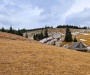 Teren 9511 mp + anexe, intravilan, în Beliș – Munții Apuseni, Cluj