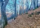 2,2 Ha TEREN INTRAVILAN PANORAMIC, in Muntii Apuseni NEGRENI – CLUJ