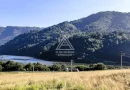 250 Hectare Pădure Valea Oltului Resurse Naturale Potențial Turistic