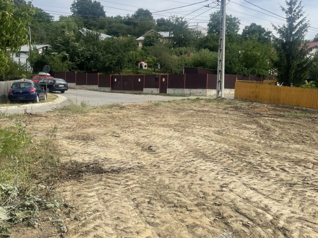 Iasi - Tomesti 3600mp intravilan intre case zona linistita + utilități
