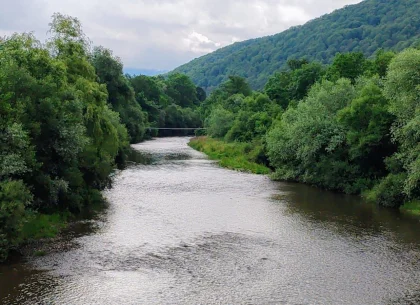 2,8 Ha Teren Extravilan cu Pârâu - Negreni, Cluj
