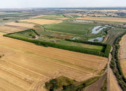 Preț nou! De vânzare teren 7.6 Ha în Pecica