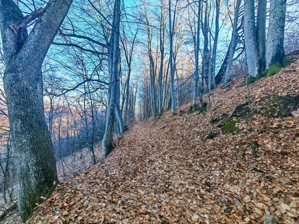 2,2 Ha TEREN INTRAVILAN PANORAMIC, in Muntii Apuseni NEGRENI – CLUJ