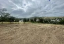 Iasi - Tomesti 3600mp intravilan intre case zona linistita + utilități