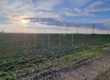 Zona industriala Freidorf. 4.345 mp. Timisoara