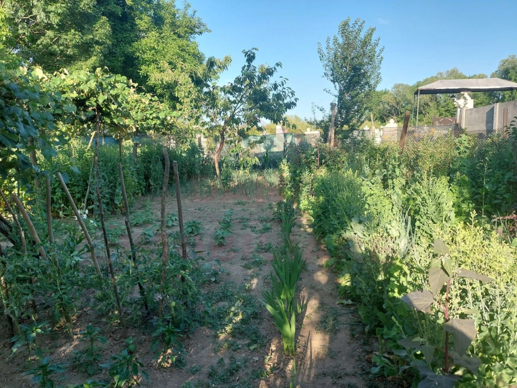 CASĂ 5 CAMERE\ OȚELU-ROȘU\ZONA CIREȘA \ COMISION 0%