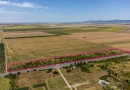 Teren de Vânzare pentru Dezvoltări Imobiliare în Vladimirescu, Arad