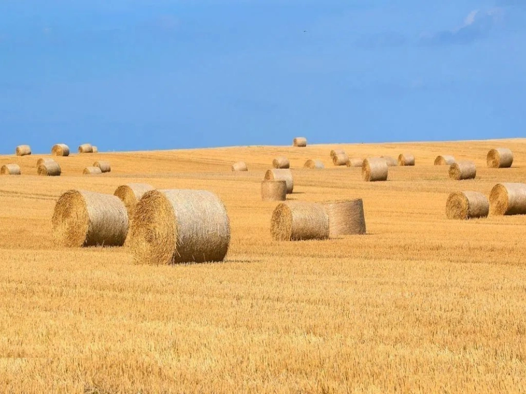 1.835 ha Fermă operațională și teren agricol (Vestul României)