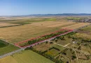 Teren de Vânzare pentru Dezvoltări Imobiliare în Vladimirescu, Arad