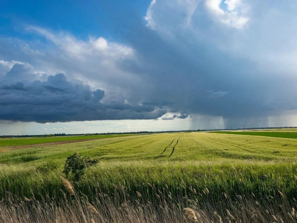 1.835 ha Fermă operațională și teren agricol (Vestul României)