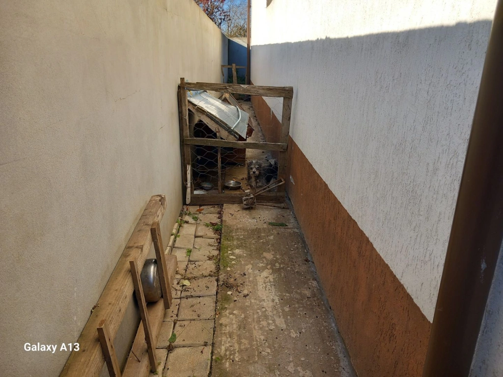 Ag BRASADAS vinde casa individuala 5 cam orasul PANTELIMON.