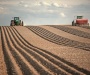 1.835 ha Fermă operațională și teren agricol (Vestul României)