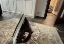 Apartament Unicat Lux Calitate 3 cam decomandat Unirii