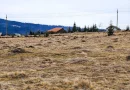 TEREN CU VEDERE LA LAC, 5959 MP Statiunea Turistica Montana BELIS-CLUJ