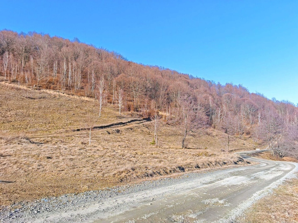 2,2 Ha TEREN INTRAVILAN PANORAMIC, in Muntii Apuseni NEGRENI – CLUJ
