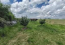 Teren intravilan Ciocanesti Cretu - 9282 mp divizat in 15 loturi