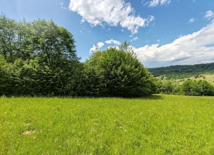 2,2 HA TEREN EXTRAVILAN FANEATA, in Muntii Apuseni, Negreni, jud. Cluj