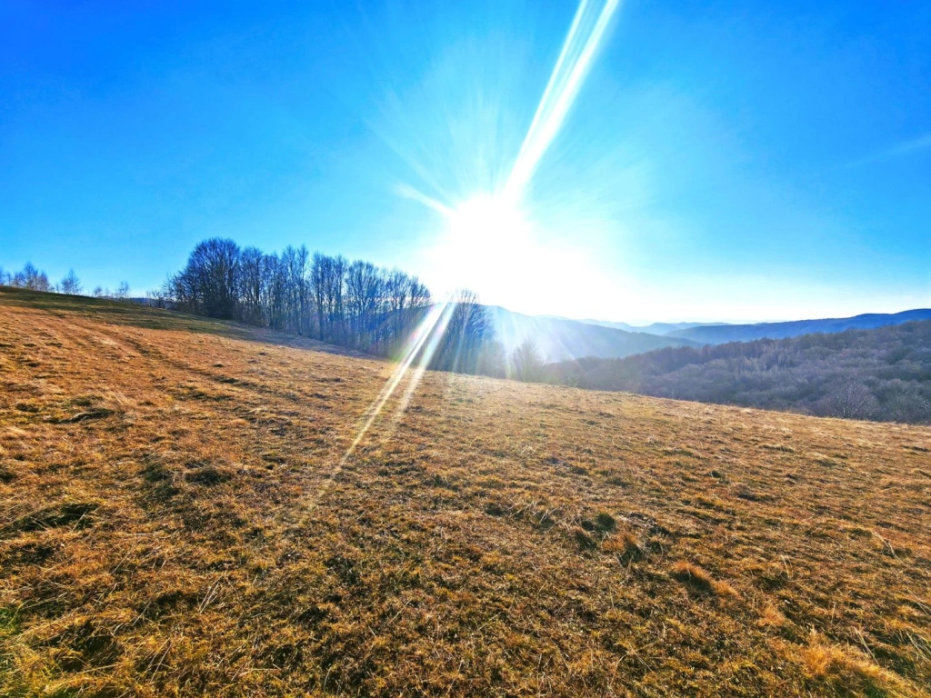 2,2 Ha TEREN INTRAVILAN PANORAMIC, in Muntii Apuseni NEGRENI – CLUJ