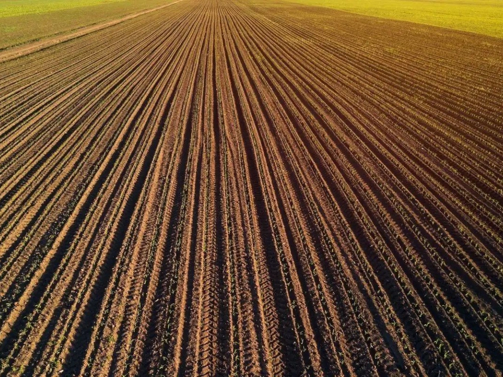 1.835 ha Fermă operațională și teren agricol (Vestul României)