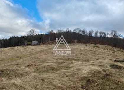 24 Hectare în Zona Turistică Montană – Bulz, Bihor